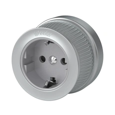 Изображение Розетка с заземлением (Матовый хром) ретро WL19-10-01